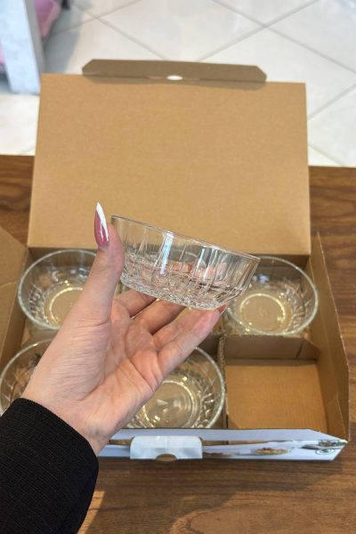 پیاله پاشاباغچه مدلECHOکد530044