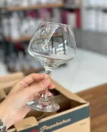 گیلاس 12تایی پاشاباغچه مدل RISUS کد_ 440277