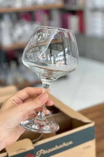 گیلاس 12تایی پاشاباغچه مدل RISUS کد_ 440277