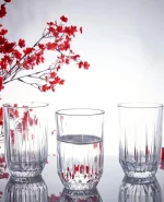 لیوان پاشاباغچه مدل اکو 6تایی_۵۲۰۲۷۲