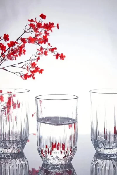 لیوان پاشاباغچه مدل اکو 6تایی_۵۲۰۲۷۲